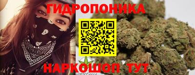 индика Баксан