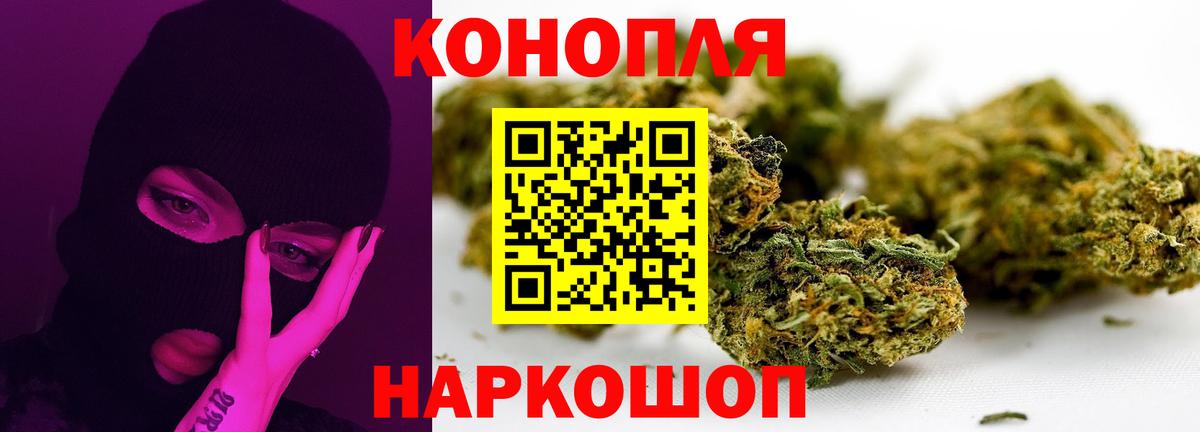 Бошки марихуана план Выкса